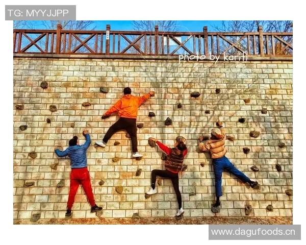 杭州攀岩队协作分析：团队配合对攀岩成绩的影响研究