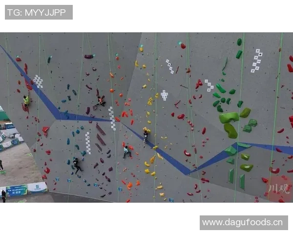 武汉攀岩队战术之争引发热议攀岩爱好者的不同声音与观点分析