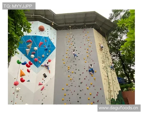 深圳攀岩队引领潮流最新攀岩技术排行榜前十名揭秘 深圳攀岩队引领潮流最新攀岩技术排行榜前十名揭秘